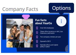 Options_menu.png